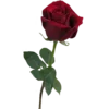 Video sticker 🌹 Красавица...