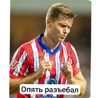 Telegram sticker ✋ Атлетико навсегда