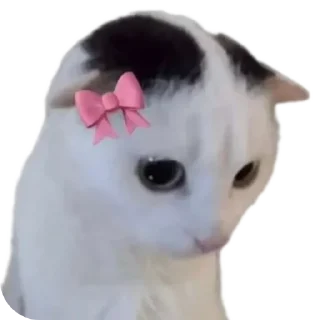 Video sticker 🥰 Nvm me being me being idk