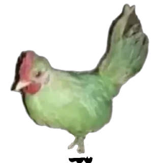 Telegram sticker 🐦 Memes by @Robot_69