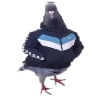 Telegram sticker 🐦 Memes by @Robot_69