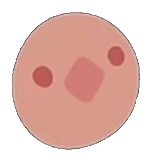 Video sticker 🐤 ᑕᖇᗩᘔY (⊙_◎)  :: @stiki_fpe