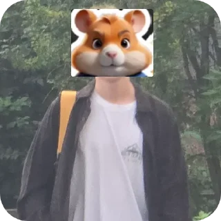 Video sticker 🧥 Стикеры @stickrubot @textmeru_bot