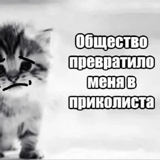 Telegram stiker 🤡 *ੈ✩‧₊˚༺ 𝗱𝗮𝗿𝗸’𝗱𝗹𝘅 ༻*ੈ✩‧₊˚