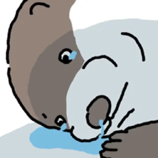Telegram sticker 😀 수달 확대