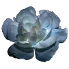 Sticker ♾ geimvera ilmur. @Melin0e