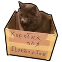 Video sticker 🌝 *очень оригинальное название* — @stckrRobot