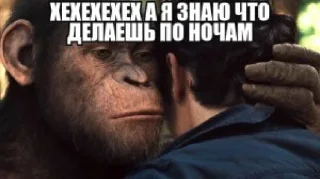 Video sticker 🤩 Мои будни (help) @TgEmodziBot