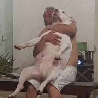 Video sticker 🤨 @ciriuo's vidgifs