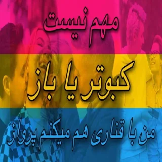 Video sticker 🕊️ کیر