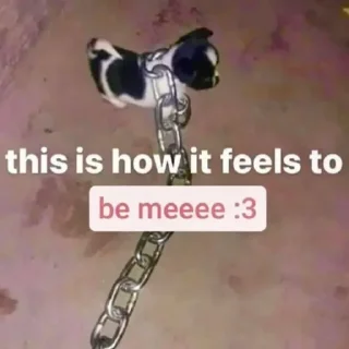 Телеграм стикер 💔 کیر