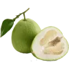 Video sticker 🥬 @MoscowCoder - к�...