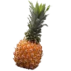 Sticker 🍍 @MoscowCoder - кто украл, отпишите.