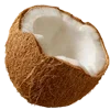 Sticker 🥥 @MoscowCoder - кто украл, отпишите.
