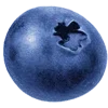 Sticker 🫐 @MoscowCoder - кто украл, отпишите.