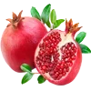Video sticker 🍎 @MoscowCoder - к�...