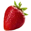 Sticker 🍓 @MoscowCoder - кто украл, отпишите.