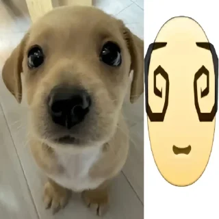 Telegram sticker 🤩 imnothomo @TgEmodziBot