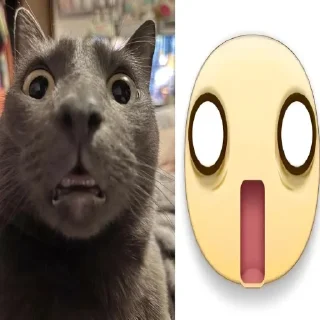 Video sticker 🤩 imnothomo @TgEmodziBot