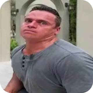 Video sticker 👍 Piquant Hippo ➡️ @Ctikerubot