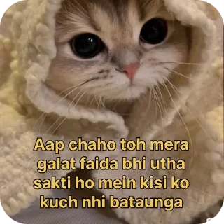 Video sticker 🐱 Tera_ayush🥰