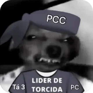 Telegram sticker 👍 Rei da Torcida 🏳️‍🌈🏳️‍⚧️