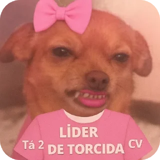 Telegram sticker 😀 Rei da Torcida 🏳️‍🌈🏳️‍⚧️