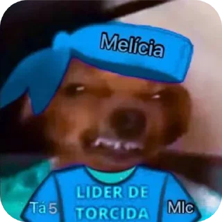 Video sticker 😎 Rei da Torcida 🏳️‍🌈🏳️‍⚧️