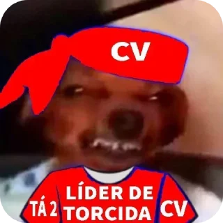 Video sticker 🖼 Rei da Torcida 🏳️‍🌈🏳️‍⚧️