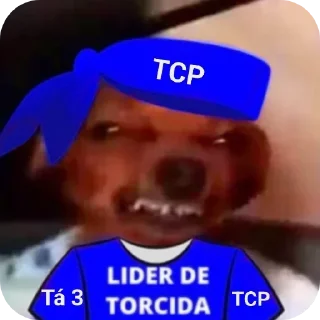 Video sticker 👄 Rei da Torcida 🏳️‍🌈🏳️‍⚧️