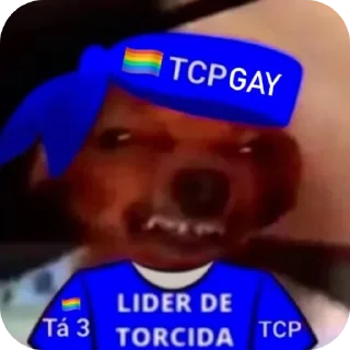 Sticker 👄 Rei da Torcida 🏳️‍🌈🏳️‍⚧️