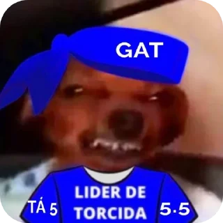 Telegram sticker 👍 Rei da Torcida 🏳️‍🌈🏳️‍⚧️