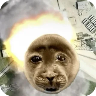 Telegram sticker 🦭 рандомная дробашня