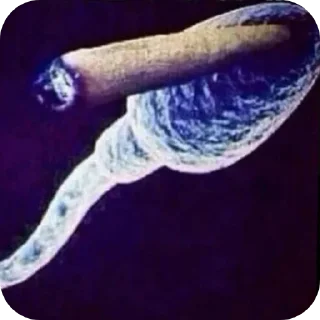 Telegram sticker 🚬 рандомная дробашня