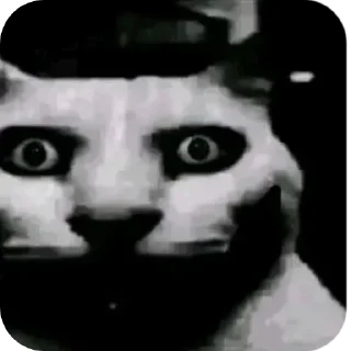 Video sticker ❤ рандомная дробашня