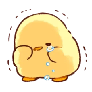 Video sticker 😭 Soft and cute chick by @fStikBot
