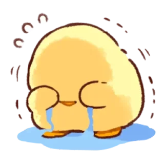 Video sticker 😭 Soft and cute chick by @fStikBot