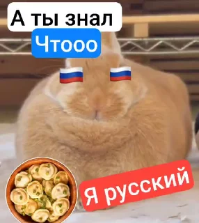 Video sticker 🌟 @Danway Ты ваще понимаешь чтоо