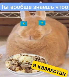 Video sticker 🌟 @Danway Ты ваще понимаешь чтоо
