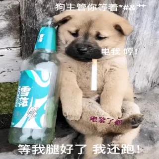 Telegram sticker 😝 非洲小白脸 招商55% @OB_518