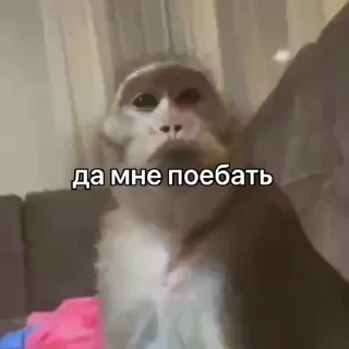 Video sticker ⭐ Стикеры: @stikerk877