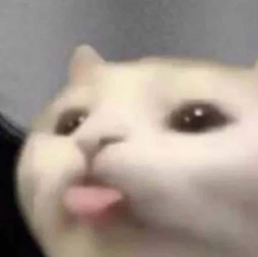 Telegram sticker 🤪 Имба 2 :: @fStikBot