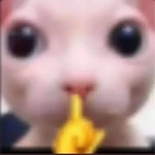 Telegram sticker 🤫 Имба 2 :: @fStikBot