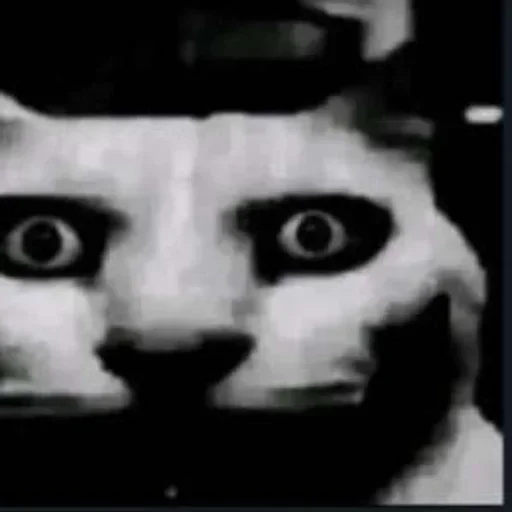 Telegram sticker 😳 Имба 2 :: @fStikBot