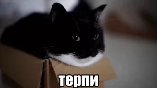 Video sticker 😖 Имба 2 :: @fStikBot