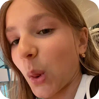 Telegram sticker 🫥 Свинелия🥰