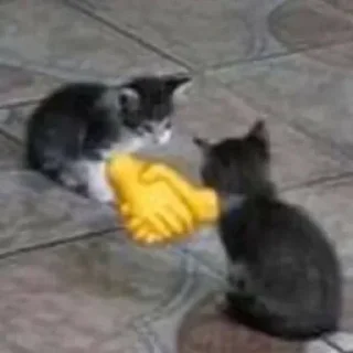 Telegram sticker 🌟 Сокровищница Фонтана