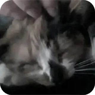 Telegram sticker 👍 Больше стикеров тут: @stikery_emodzi_memy