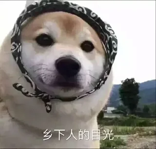 Телеграм стикер 🐒 (•̀ϖ•́ )