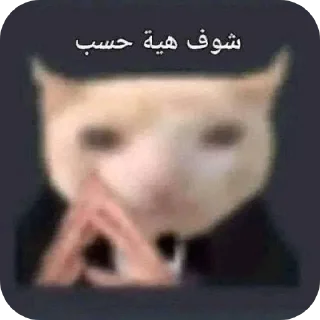 Telegram sticker 👄 محطة الفائضين |نريد نعيش |